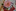 DSC00045.jpeg