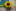 DSC00012.jpg