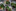 DSC00064.jpeg