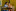 Senioren_Theater_Luzern_20250315_A1C0053-DxO_DeepPRIME XD2s_RS.jpg