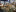 IMG_4349.jpeg