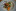 DSC00055.jpg