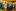 Senioren_Theater_Luzern_20250315_A1C0309-DxO_DeepPRIME XD2s_RS.jpg